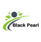 Bracelets de création en perles  - collection Black Pearl